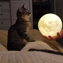 bitchybaroness-blog-blog avatar