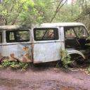 bitchycatwizard avatar