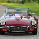 bitchydelusiongentlemen avatar