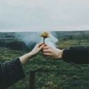 bitchyflowercoffee avatar