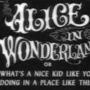 bitchypaperballoon avatar