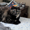 bitchywhispersanchor avatar