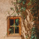 bitikmiyiziyimiyizbellidegil avatar