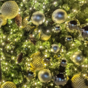 bitingyoubitingyoubi avatar