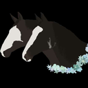 bitless-and-gaited avatar