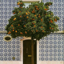 bitsandbobblesblog avatar