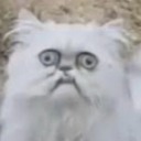 bitsandbobsofwriting avatar