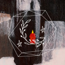 bitter-bats-cult-of-the-moon avatar