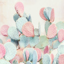 bitter-indulgence avatar