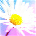 bitter-rock-sugar avatar