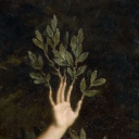 bitter-sweet-cinnamon avatar