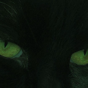 bittersweet-scape avatar