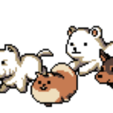 bittersweetseoul avatar