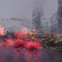 bitti-enguzelhikayem avatar