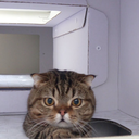 bizarrecreatures avatar