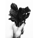 bizbenisevmeyiz avatar