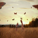 bizbiraybirimiyiz avatar