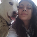 bizbokyiyelimtabi avatar