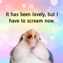 bjurnberg-writes avatar