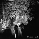 bkss2 avatar