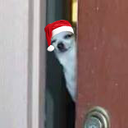 bl00dinyourhead avatar