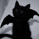 bl00dycandycigarettes avatar