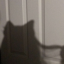 bl0ndehairblacklungss avatar