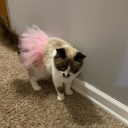 blabbering-and-such avatar