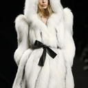 blacckwater-blog avatar