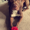 black--lightning avatar