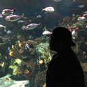 black-aquarius96 avatar