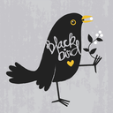black-b1rd-fly avatar