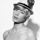 black-bird-fly avatar