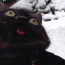 black-blood-angel avatar