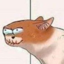 black-cat-purrs avatar