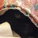 black-cat-sinner avatar