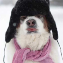 black-chocolate-love avatar