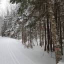 black-diamond-dreamer avatar