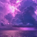 black-flowers-blossom3 avatar