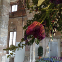 black-is-no-colour avatar