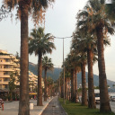 black-lux-blood avatar