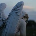 black-paradise-16 avatar