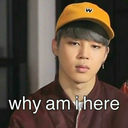 black-raven20-blog avatar