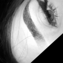 black-rose-in-the-garden avatar