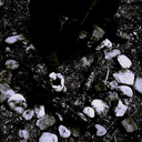 black-soil-rituals-blog avatar