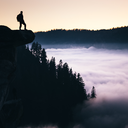 black-sparrowhawk avatar