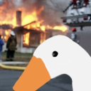 black-toxicat avatar