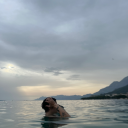 black-turtle13 avatar