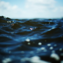 black-wavess-blog avatar