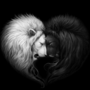 black-white-lion avatar